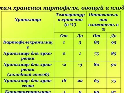 При какой температуре хранится чеснок