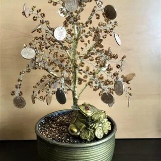 Ветки денежного дерева