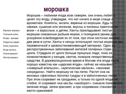 Песня про морошку