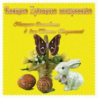 2 недели поздравляю