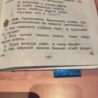 Из предложения 17 выпишите антонимы