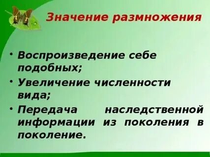 Какое значение размножения в жизни растений. Какое значение размножения в жизни растений