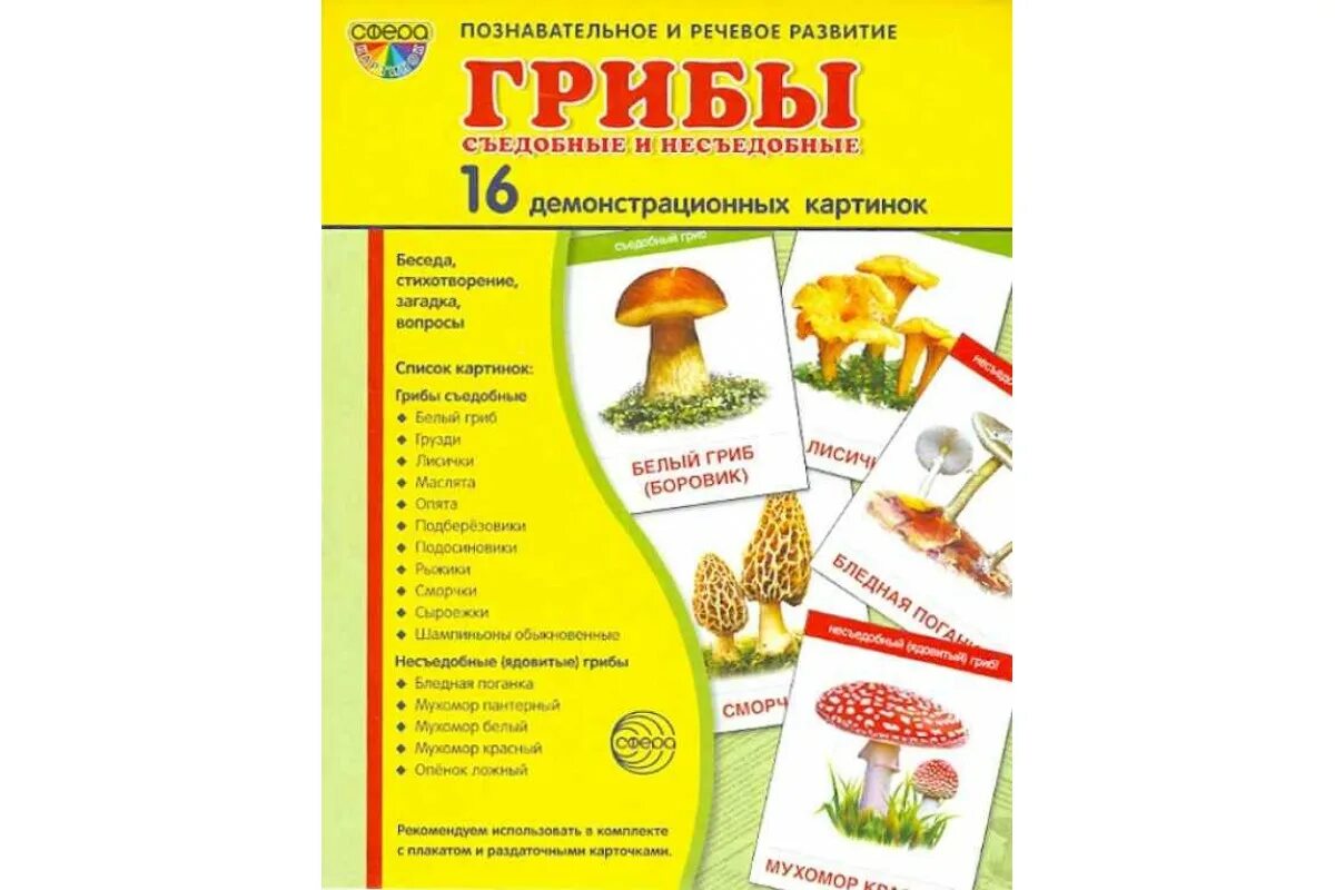 Набор карточек. Направления познавательного развития. Демонстрационный плакат времена года зима. Сфера познавательное и речевое. Карточки для игры съедобный несъедобный гриб.