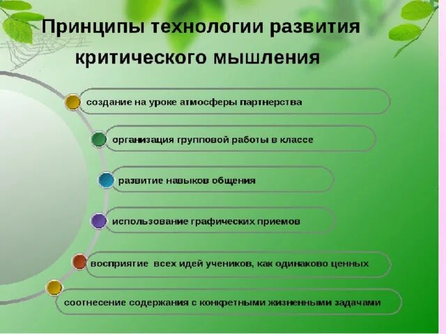 Принципы критического мышления. Технология критического.мышления на уроках. Принципы технологии развития критического мышления. Технология формирования критического мышления учащихся. Технология критического мышления в школе на уроках