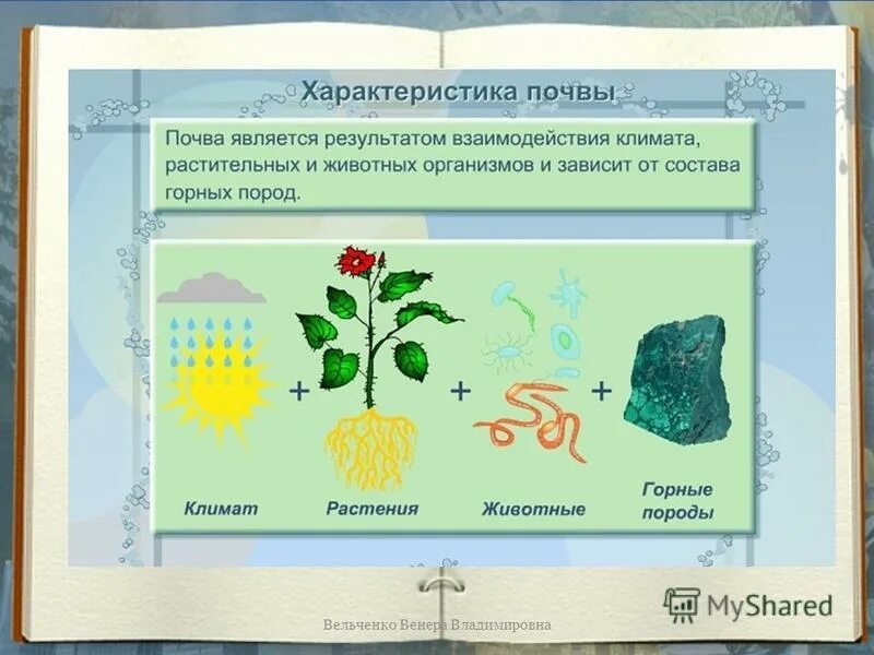 География 6 класс тема почва