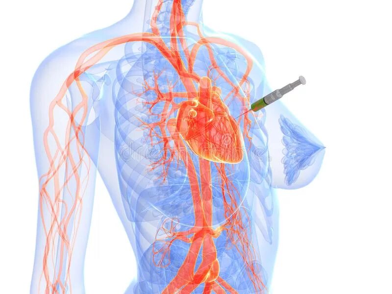 Какие уколы делают в сердце. Мексидол в ампулах 2гр. Внутрисердечное введение адреналина. 40мг/мл 5мл №10. Таблетки для сердца.