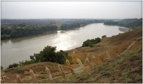 Река кубань 2024