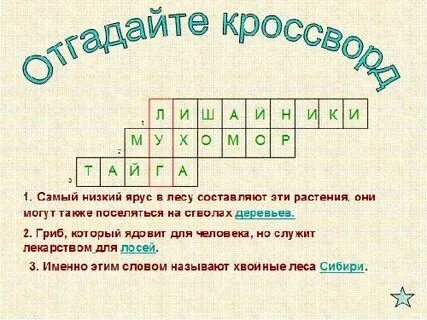 Кроссворд на тему растительные сообщества 7 класс