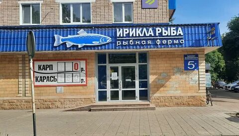 Золотая рыбка оренбург