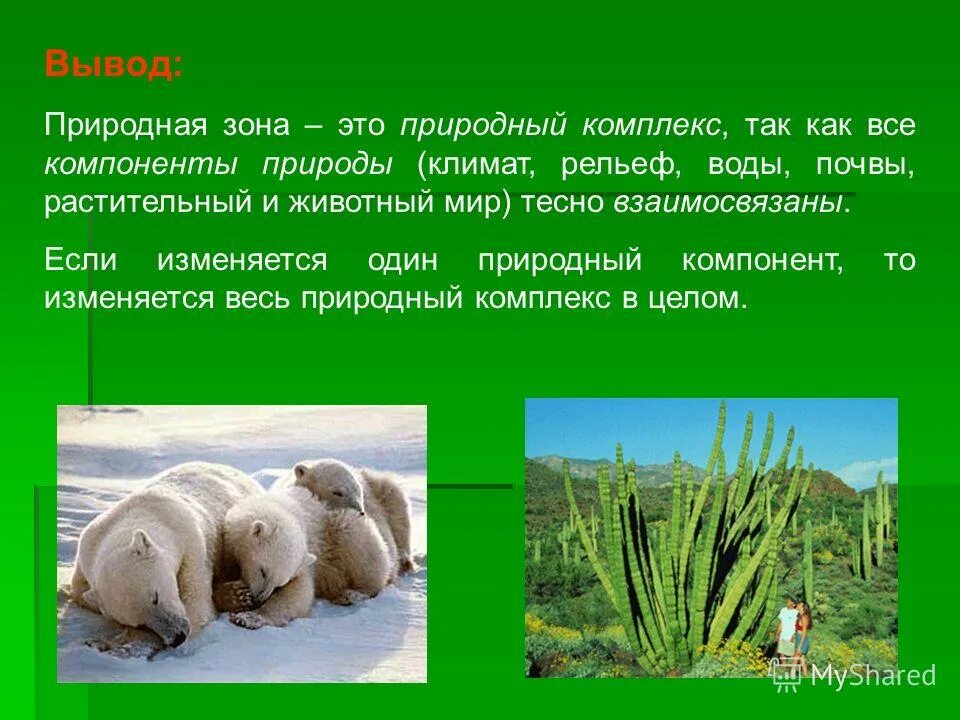 Компоненты природы образующие природную зону. Растительный мир природного комплекса. Как доказать что природная зона это Тип природного комплекса. Природный комплекс животный мир. Докажите что природная зона это природный комплекс.