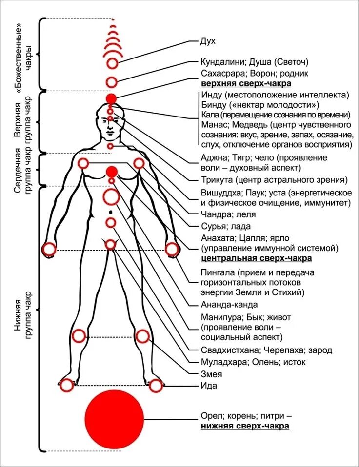 Энергетические центры человека схема. Энергетические точки чакры. Энергетические+чакры+человека+схема. Энергетические точки на теле человека чакры. 13 точка человека