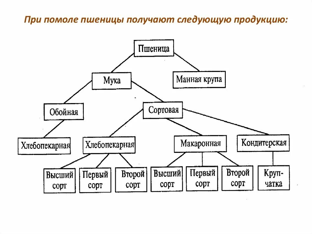 Блок схема мукомольного производства. Технологическая схема помола пшеницы. Машинно аппаратурная схема производства муки. Технологическая схема помола зерна. Технологическая производства муки пшеничной.