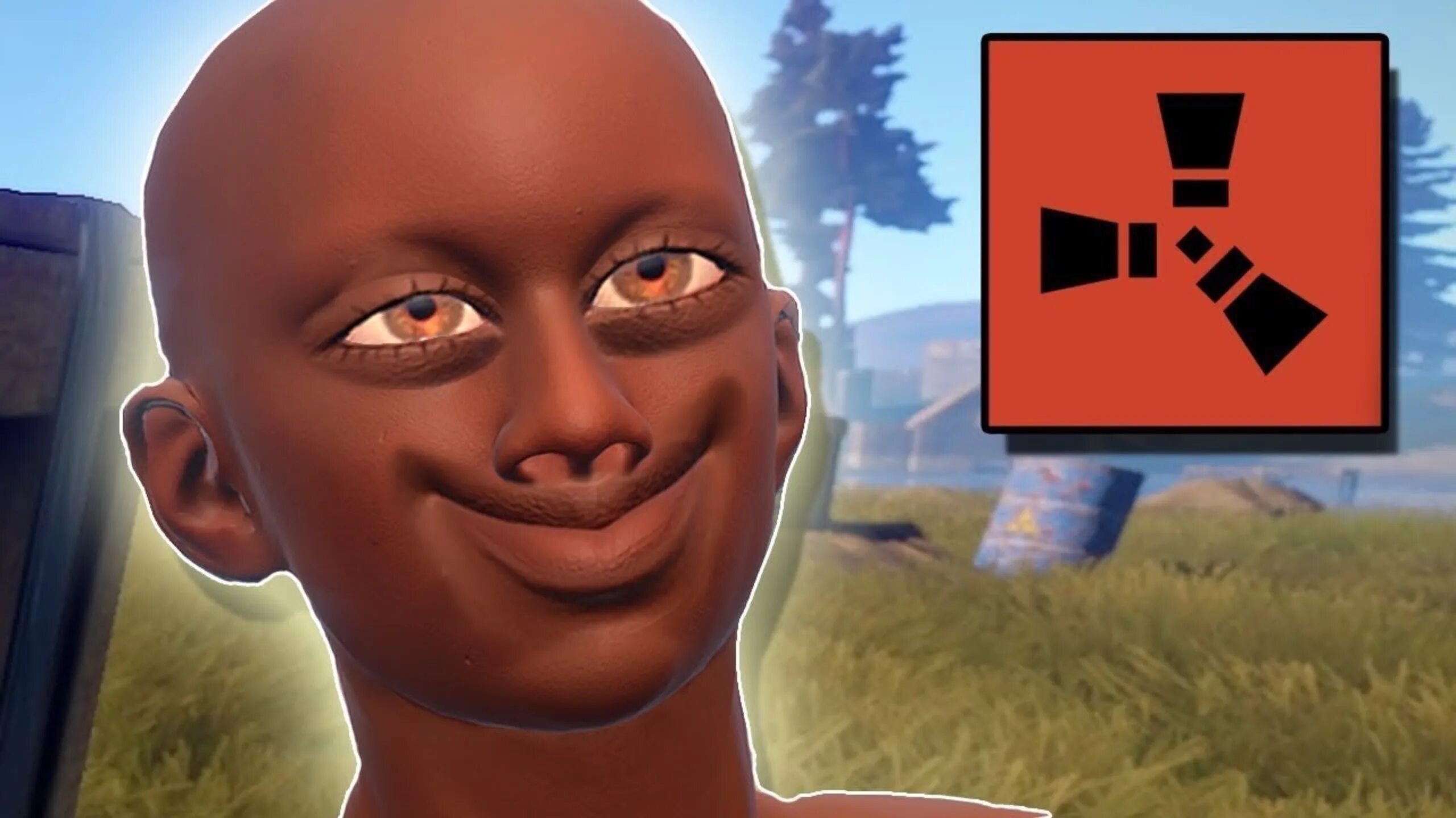 Rust panic. Аватарки раст. смешные аватарки раст. rust аватар. раст угарные картинки.