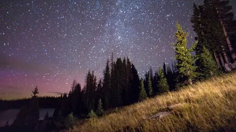 Stars above
