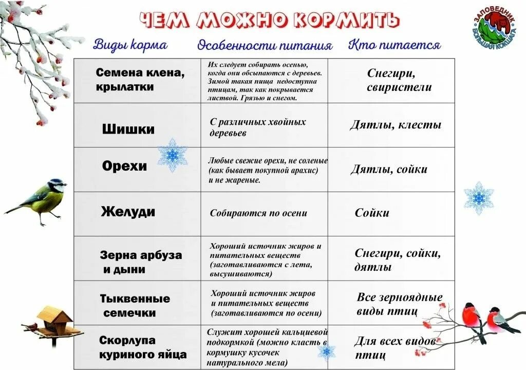 Планирование зимующие птицы. Мероприятия покормите птиц зимой. акция подкормка птиц зимой. мероприятие к зимующим птичкам название. план мероприятий зимующие птицы в школе.