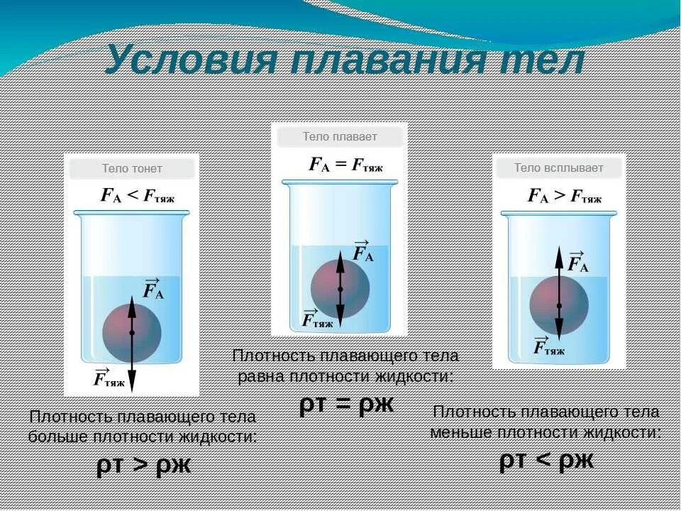 Условия плавания тел плавание тел физика 7 класс. Таблица условия плавания тел физика 7 класс. Зависимость условий плавания тел от плотности жидкости. Физика условие плавания тела в жидкости. Шарик поместили в жидкость плотность