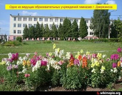 Гимназия дзержинска