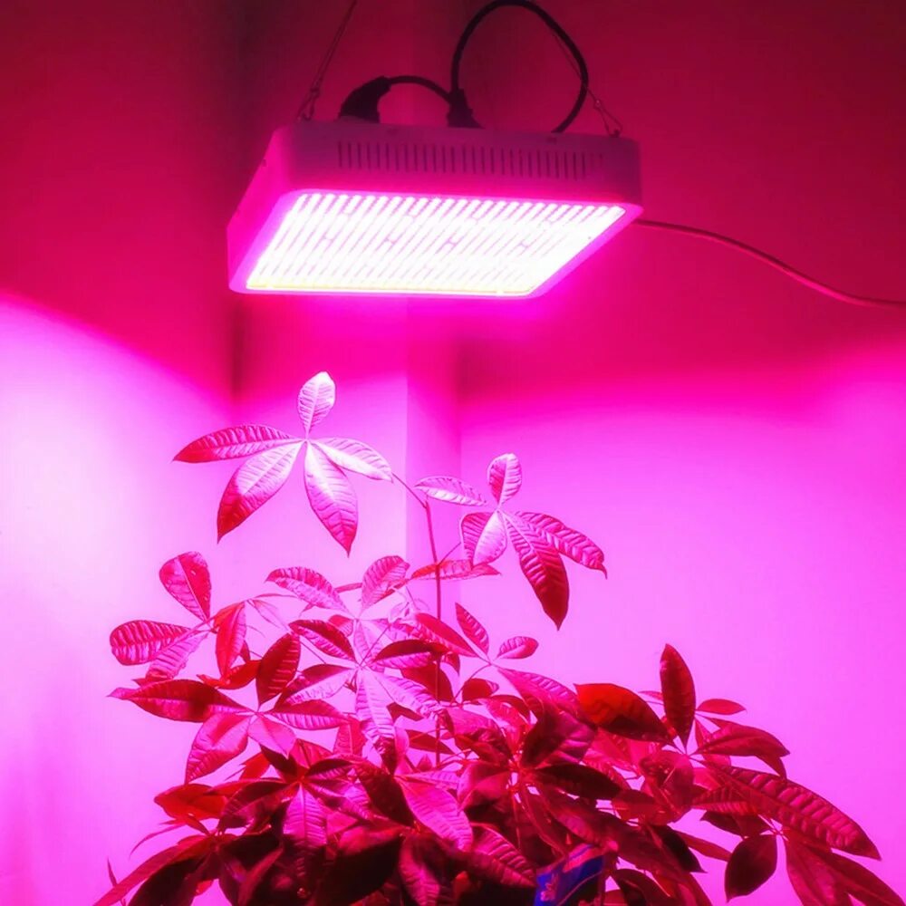 Освещение для растений. 1000w led grow Light лампа для растений. Led grow Light 300w. Led grow Light 400w. Фитосветильник 2000w grow.