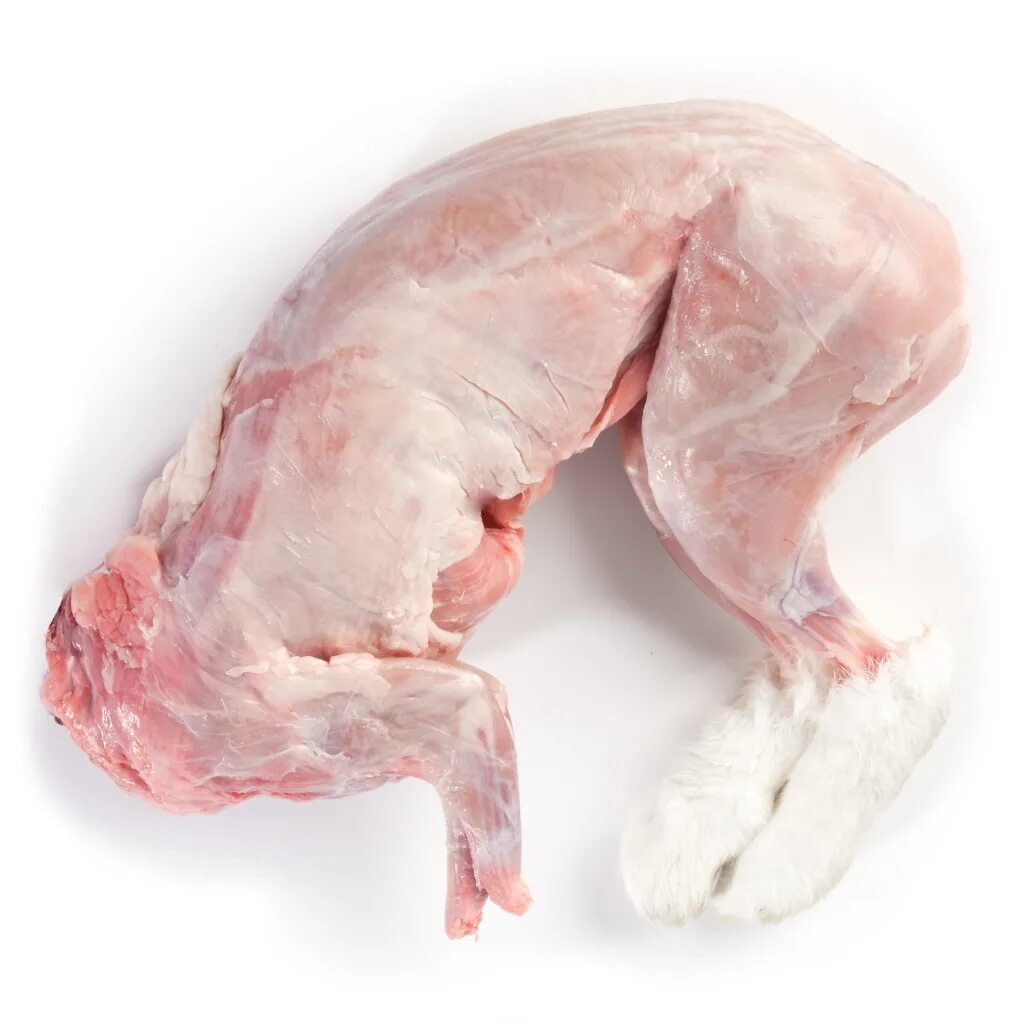 Ушки кролика. Разделанная тушка кролика. Туша зайца. Туша зайца. Туша зайца.