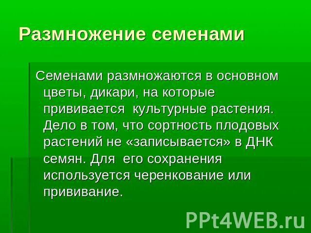 Семенами размножаются имеющие