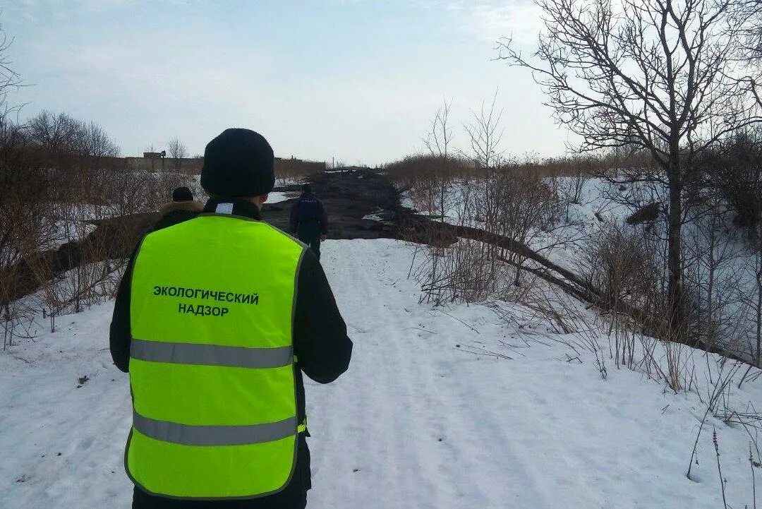 Экология надзор. Экологический надзор. государственный экологический надзор. инспектор экологического надзора. экологическая служба.