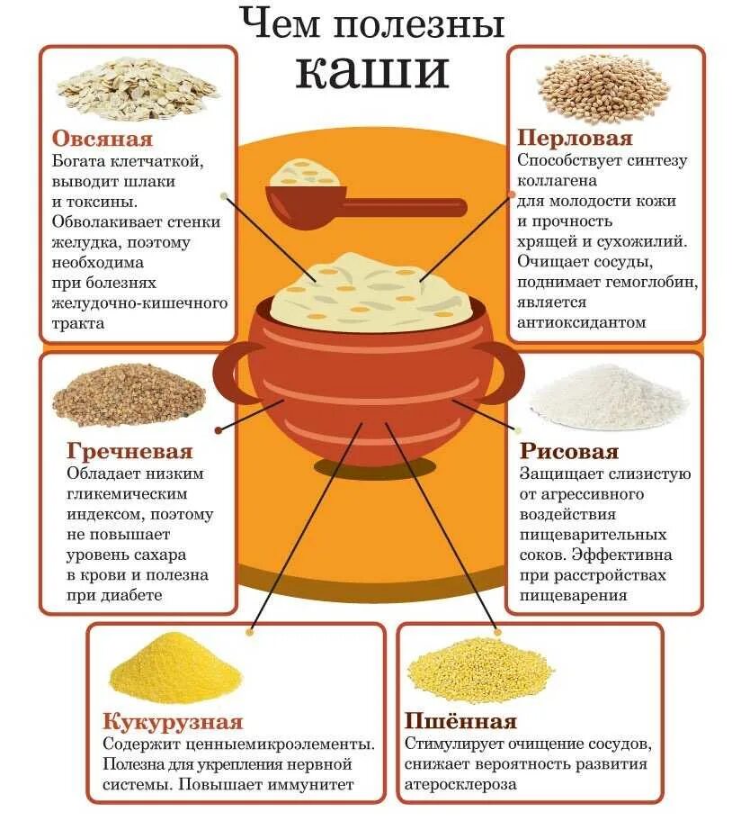 Полезные крупы. Чем полезна каша. Полезная ашка. Полезные свойства каш. Как часто можно есть кашу