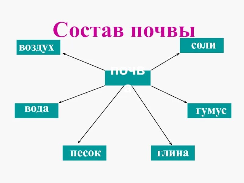 Состав почвы. Состав почвы 3 класс окружающий мир. Состав почвы схема. Схема состава почвы 5 класс. Почва состав почвы.