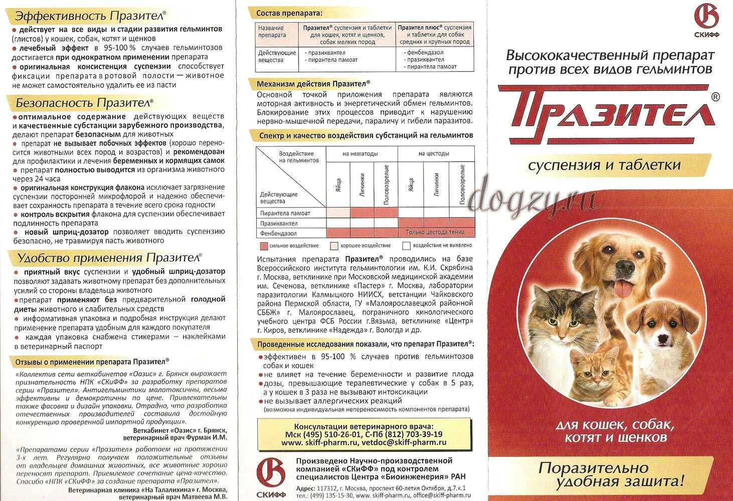 Можно ли глистогонить беременную