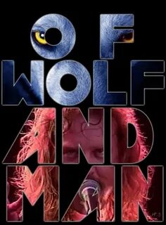 Metallica wolf