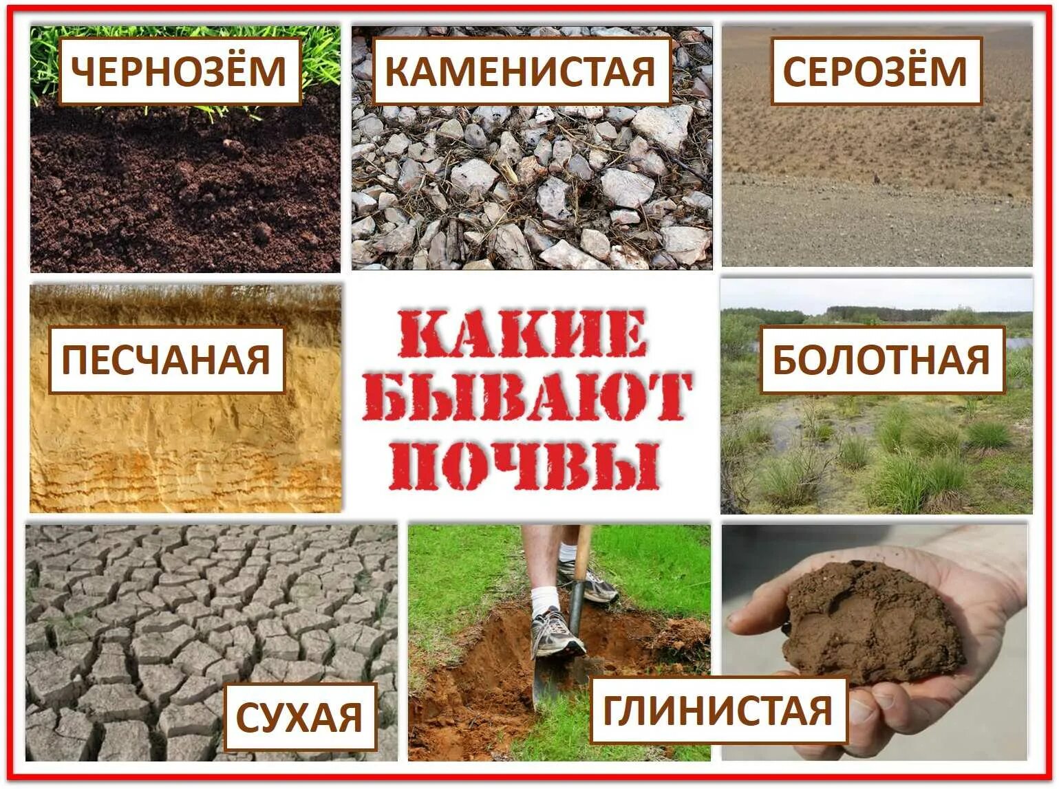 Какие бывают земли. Три вида почв. какие бывают почвы. образцы почвы. почва для дошкольников.