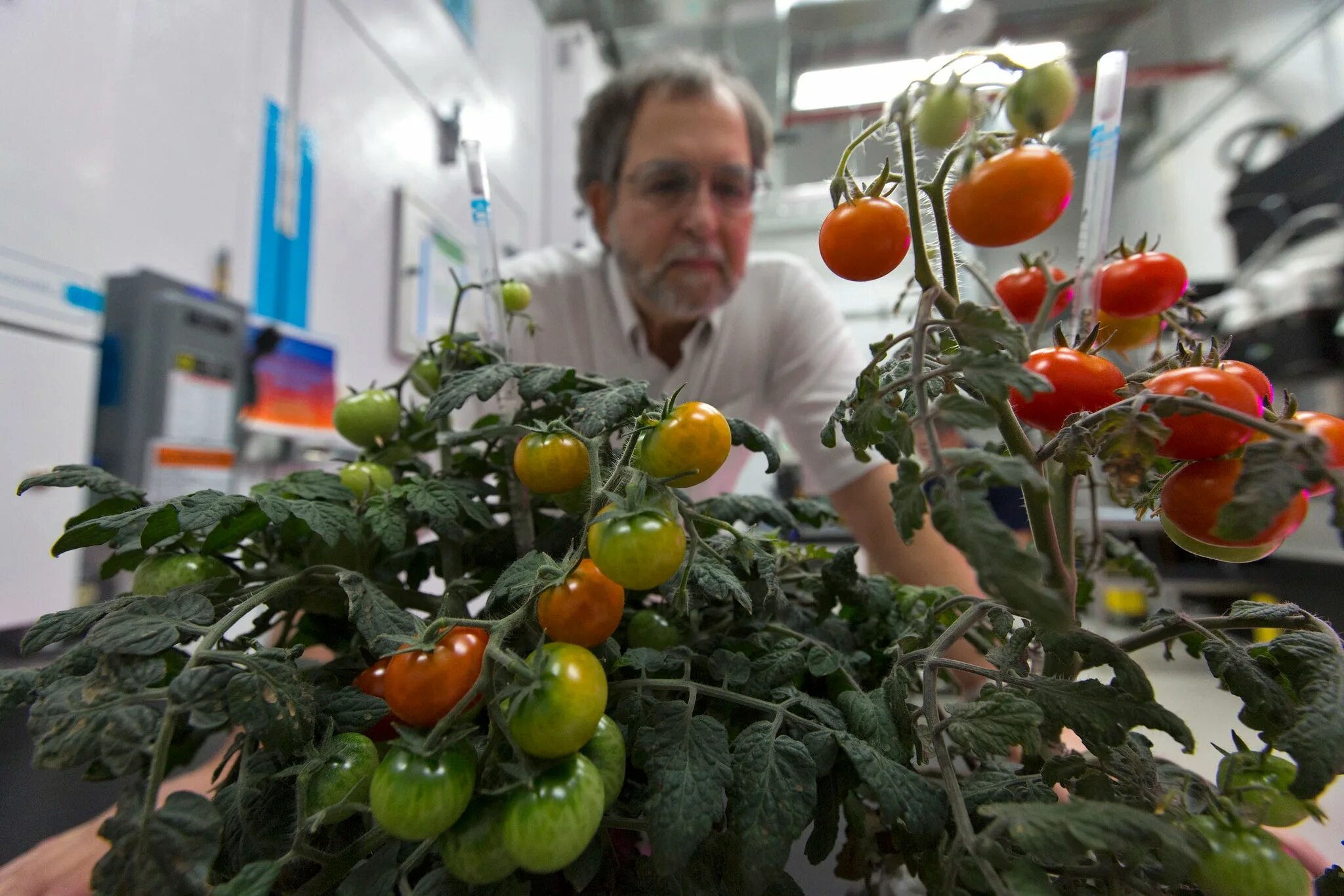 Космическое сельское хозяйство. Plants on ISS. Plants in Space. Space plants