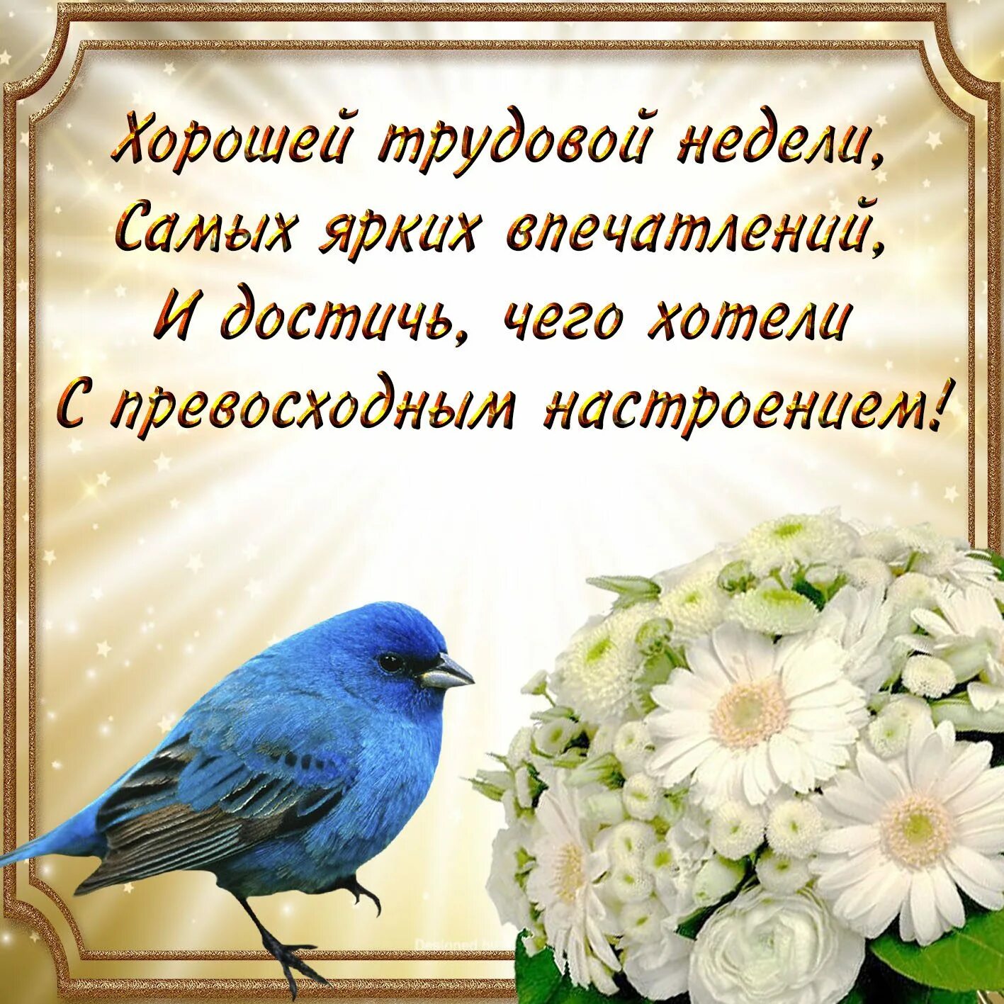 Добрые пожелания. Пожелания доброго дня. Хорошие пожелания в стихах с картинками. Открытки с пожеланием хорошей недели.