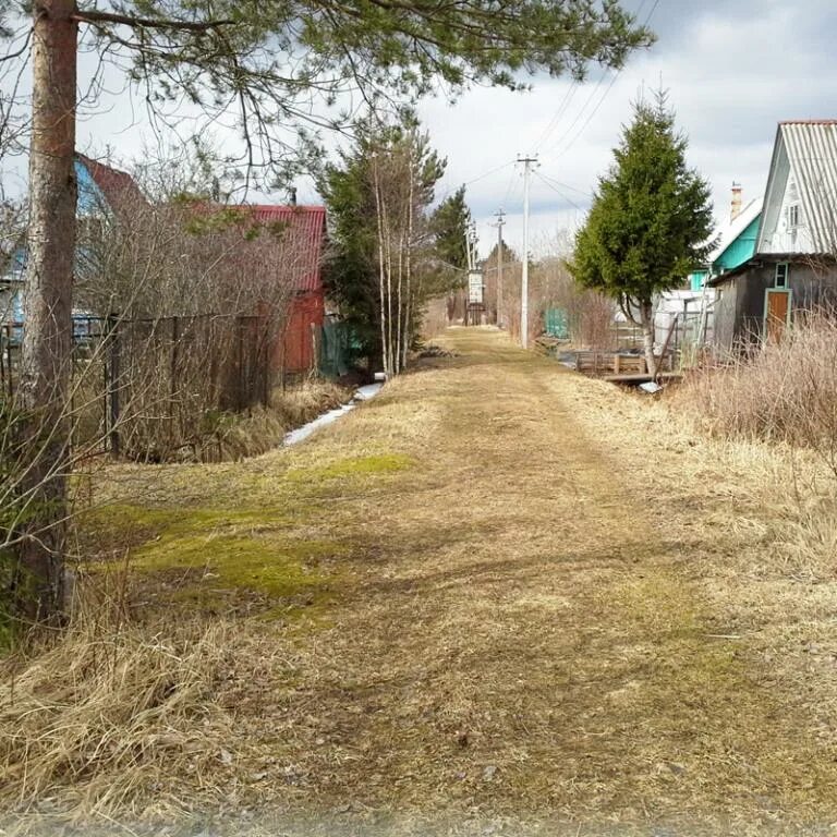 Погода в дивенской ленинградской области на неделю. Большая Дивенка Лужский район. Садоводство Дивенская Лужский район. Лужский район Мшинская СНТ. СНТ Лесное Мшинская.