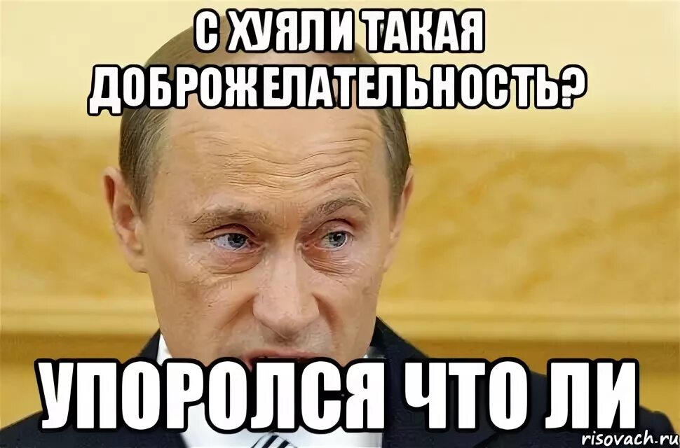 Что ответить на схуяли. С хуяли мем. схуяли картинка. схуяли прикол. схуяли тишина.