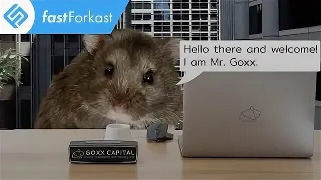 Hamster токен. Крипто хомяк. хомяки в трейдинге. hamster криптовалюта.