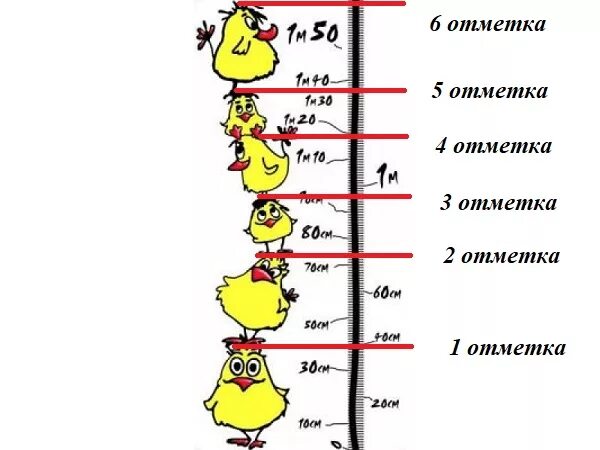 16 метров в сантиметрах