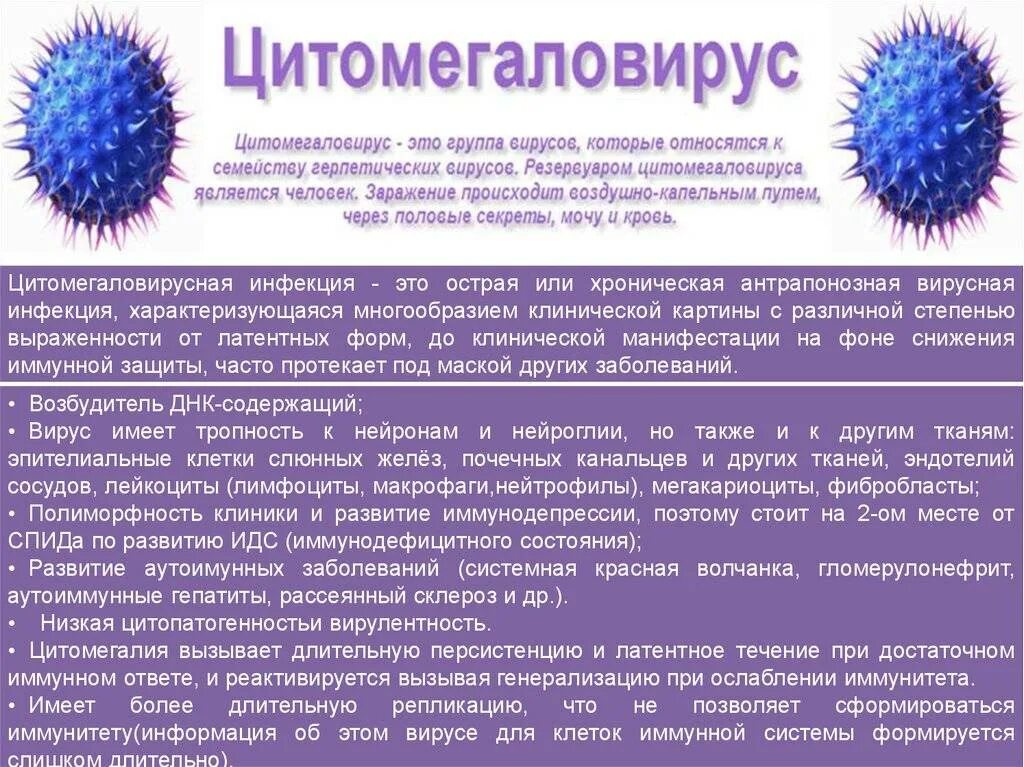 Цмв инфекция что это. Цитомегаловирус возбудитель. ЦМВ инфекция возбудитель. Цитомегаловирус микробиология заболевание. Возбудитель вируса цитомегаловирусная инфекция.