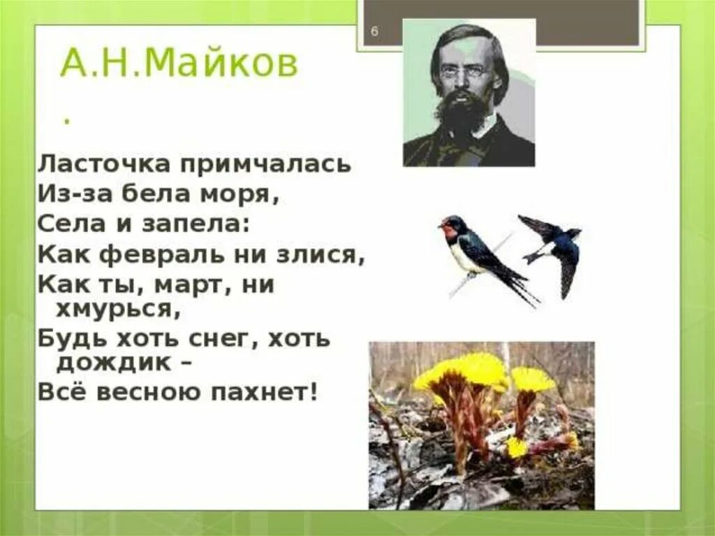 Майков ласточка примчалась стихотворение