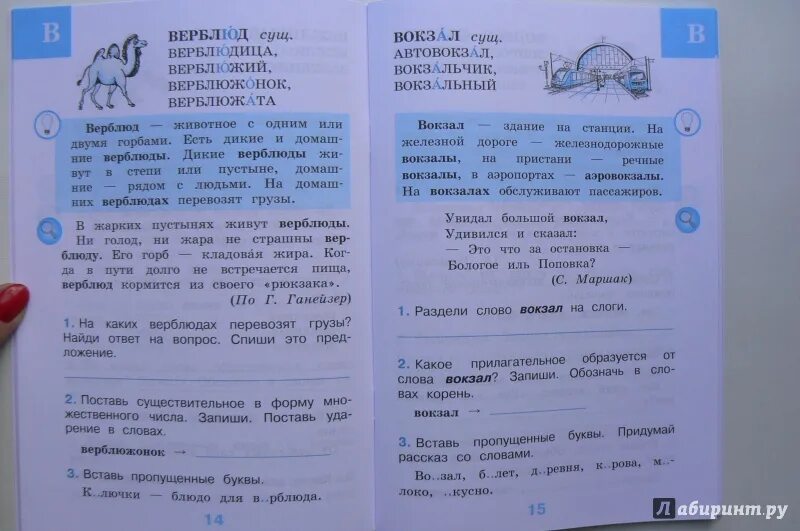 Рабочий словарик. Рабочий словарик 2 класс Бондаренко. Рабочий словарик Бондаренко 3. Рабочий словарик. 3 Класс. Английский рабочий тетрадь бондаренко 2 класс