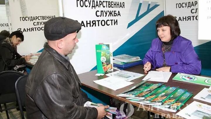 Вакансии биржи труда алтайского края. Центр занятости школьников. Работники службы занятости. Центр занятости томск. Казначейство барнаул.