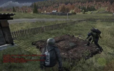 Dayz client