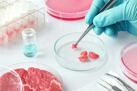 Лабораторное исследование мяса