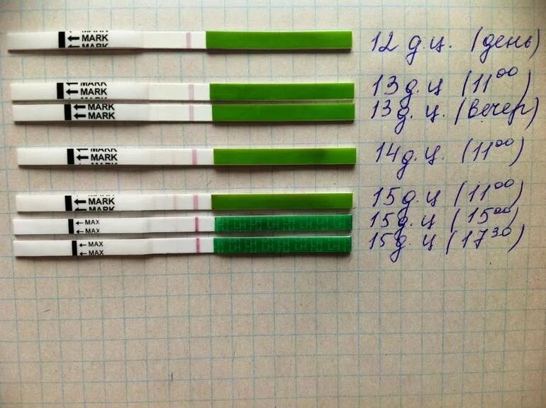 Тест на беременность после задержки. Когда делать тест на беременность. Тест на беременность каждый день. Тест на беременность вечером. Вечерний тест на беременность.