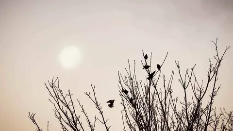 Весенний минимализм