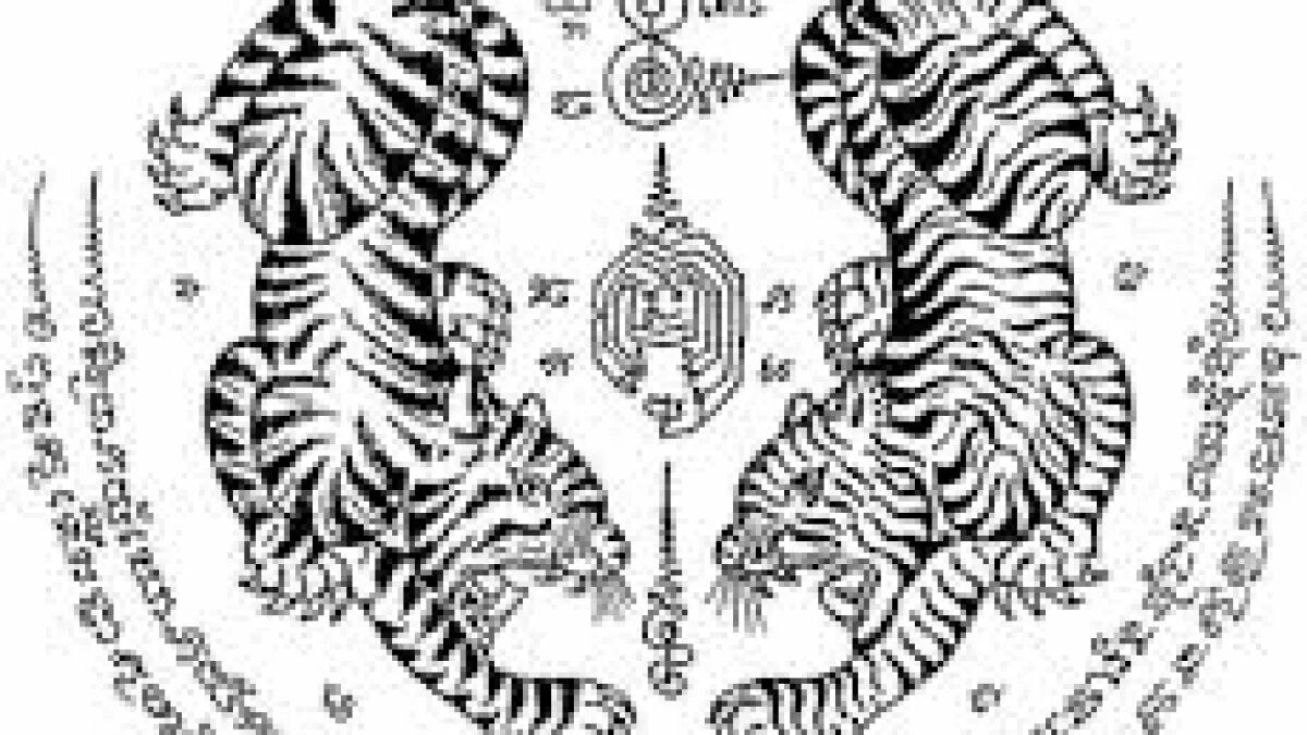 Близнецы год тигра мужчина. Zodiac tiger. Водолей и близнецы. Рождённые в год тигра характеристика. The tiger twins.