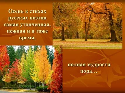 Писатели про осень