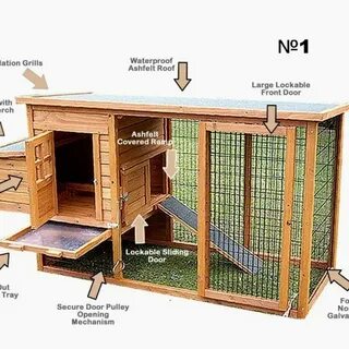 Курятник своими руками на 10 кур зимний