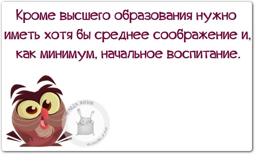 Помимо высшего образования. Кроме высшего образования нужно иметь хотя. Помимо высшего образования нужно иметь. Кроме высшего образования. Высказывания про высшее образование.