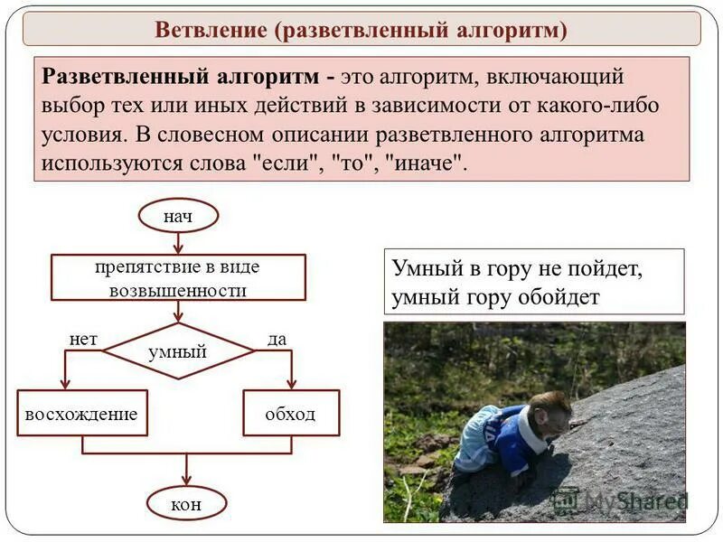 Программирование разветвляющихся алгоритмов 8 класс тест