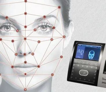Identify system